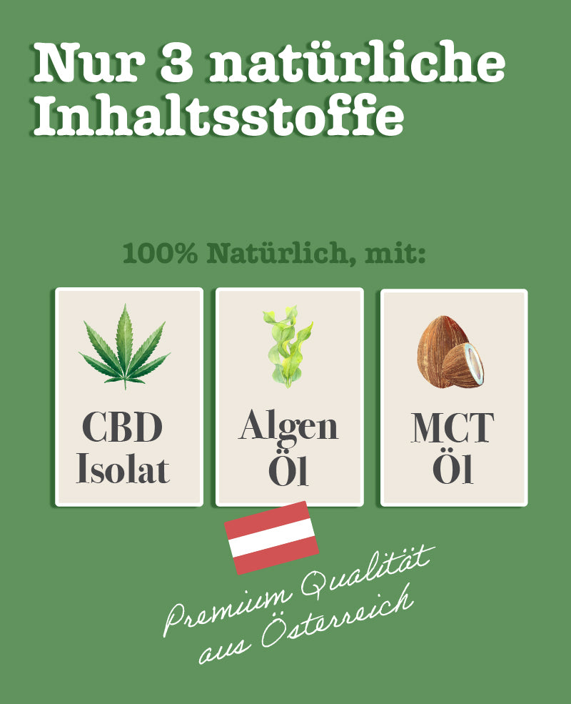 CBD Öl für Hunde & Katzen