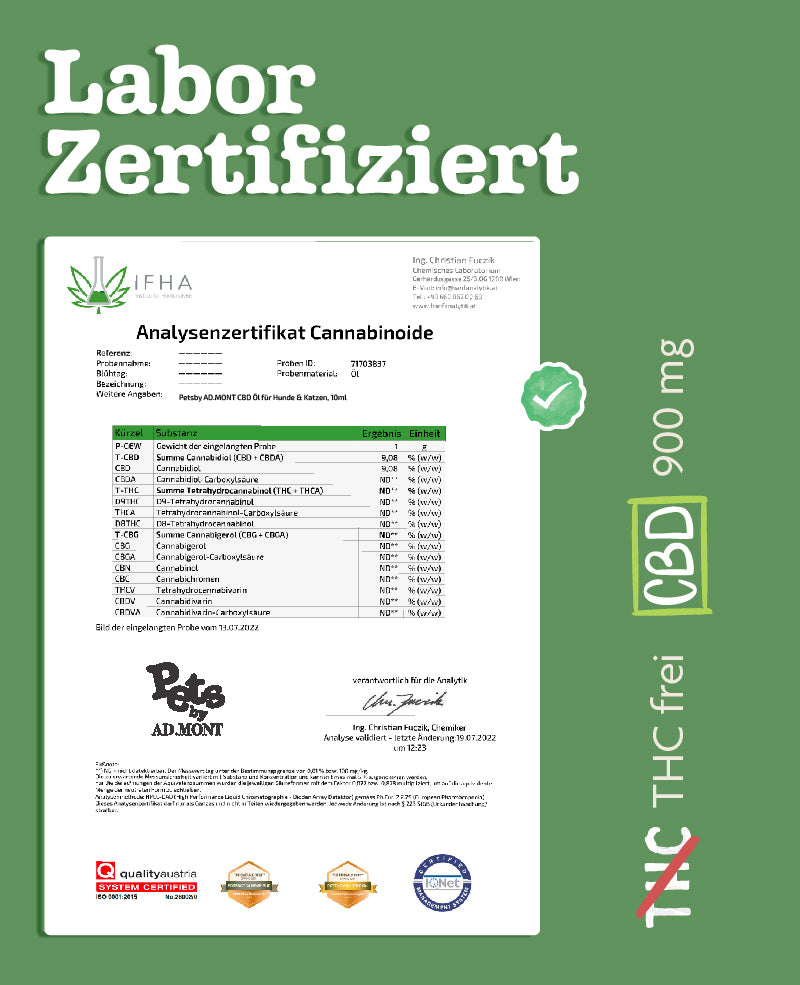 CBD Öl für Hunde & Katzen