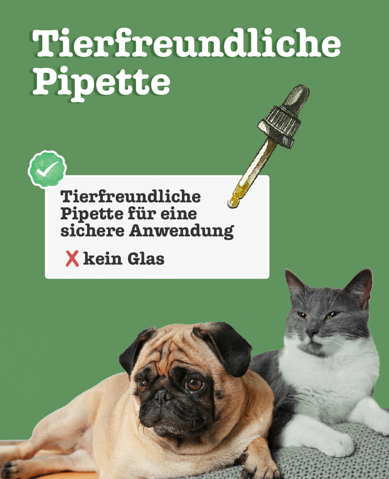CBD Öl für Hunde & Katzen