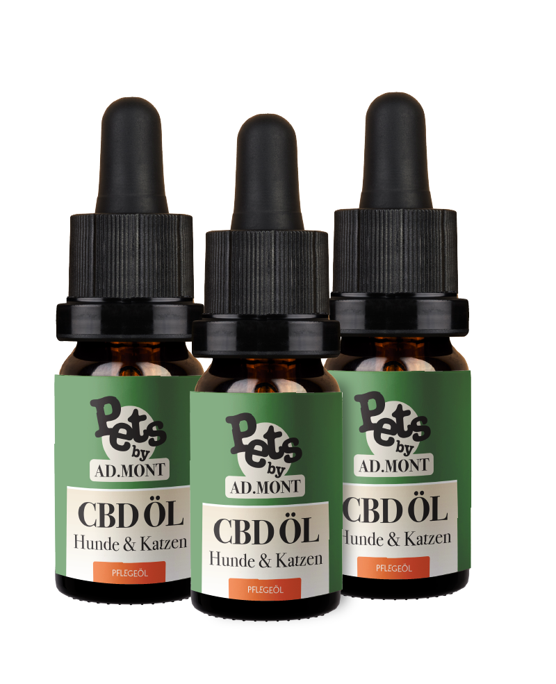 CBD Öl für Hunde & Katzen