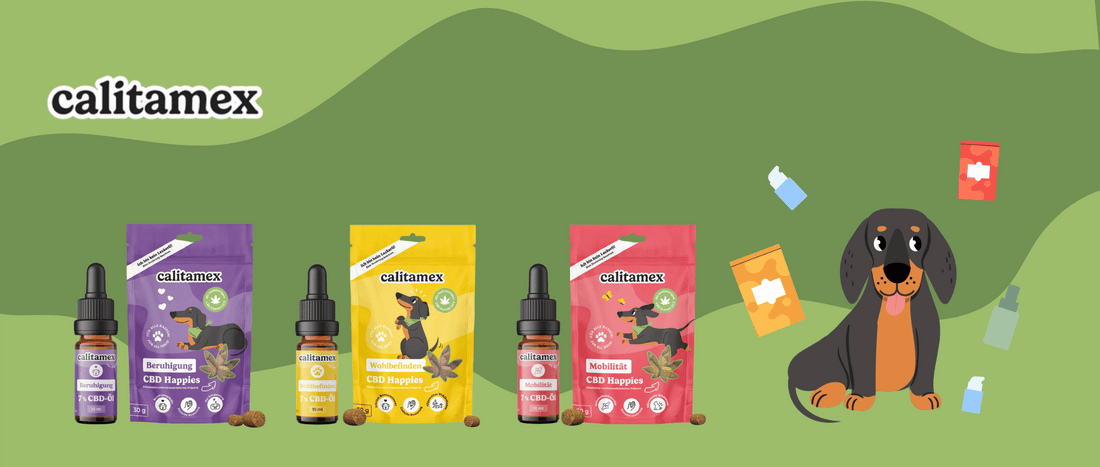 Calitamex CBD Öle und CBD Happies: Natürliche Unterstützung für die Gesundheit deines Hundes
