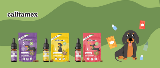 Calitamex CBD Öle und CBD Happies: Natürliche Unterstützung für die Gesundheit deines Hundes