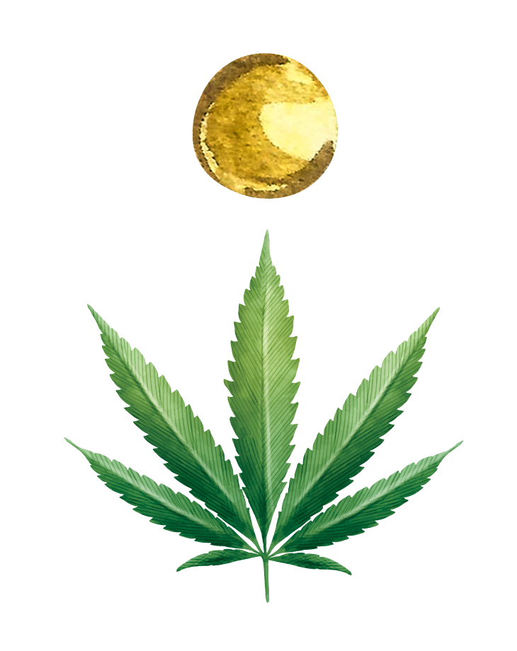 CBD Öl 10%