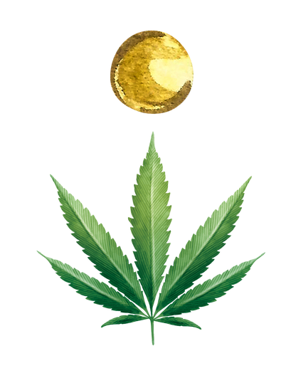 CBD Öl 10%